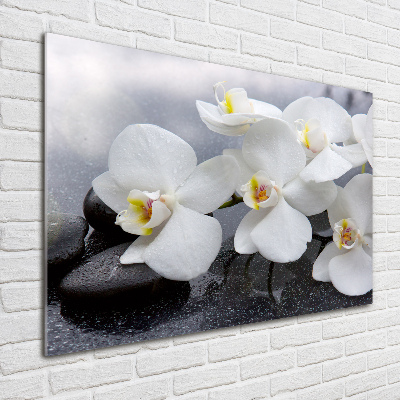 Foto glasbild Orchidee