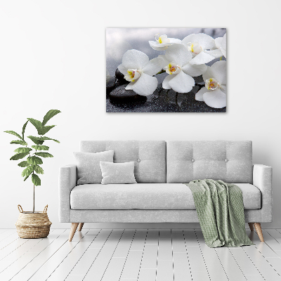 Foto glasbild Orchidee