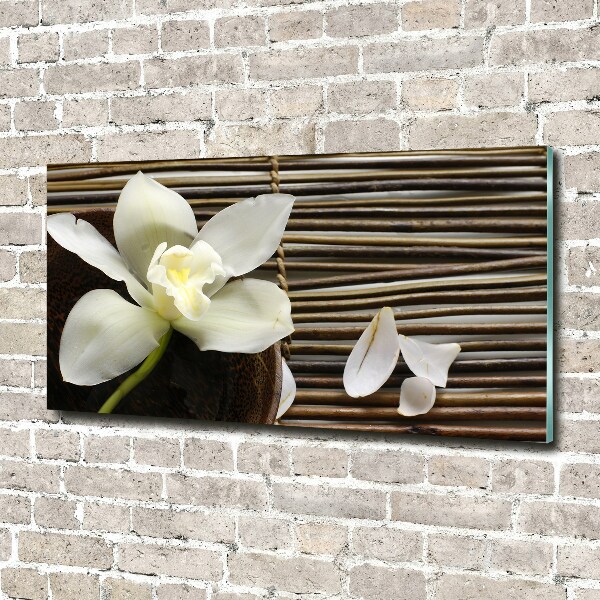 Glasbild Orchidee