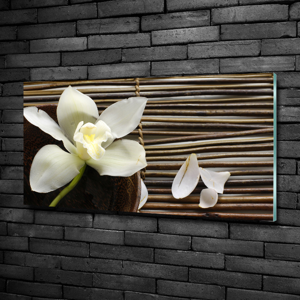 Glasbild Orchidee