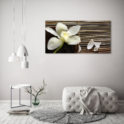 Glasbild Orchidee