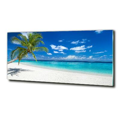Glasbild Tropischer Strand