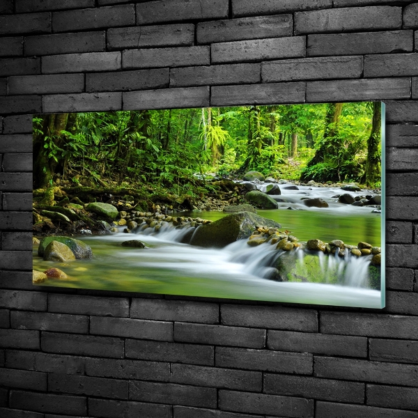 Bild auf glas Gebirgsbach