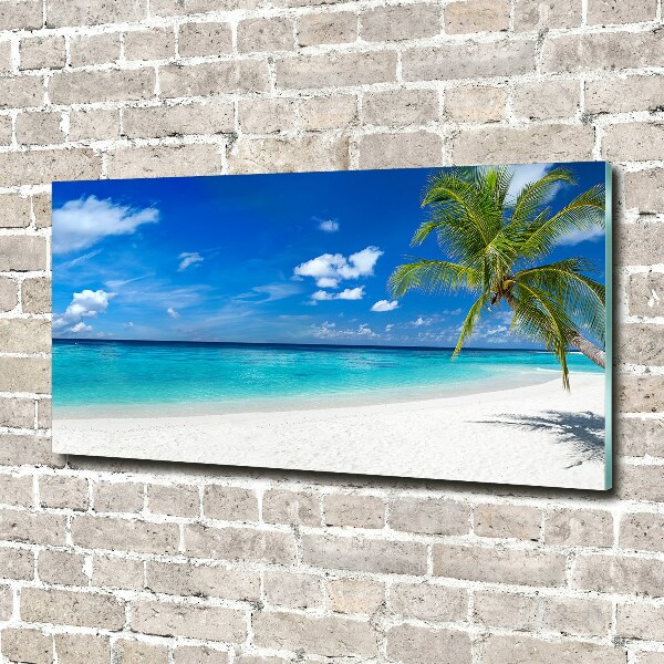 Foto glasbild Tropischer Strand