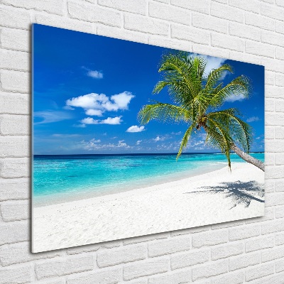 Foto glasbild Tropischer Strand