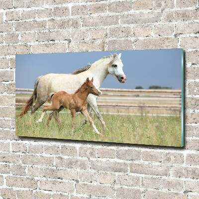 Glasbild Stute mit Fohlen
