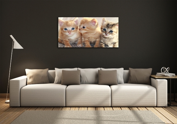Foto glasbild Kleine Katzen