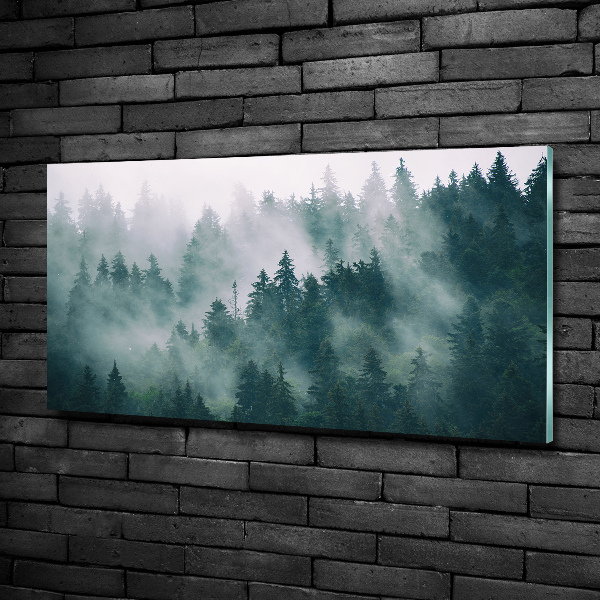 Glasbild Nebel über dem Wald