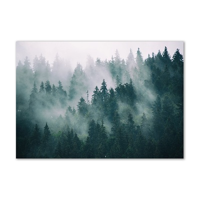 Glasbild Nebel über dem Wald