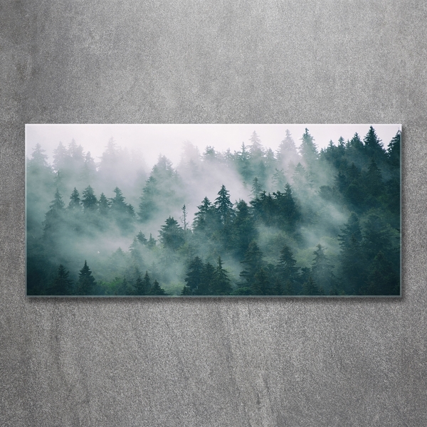 Glasbild Nebel über dem Wald