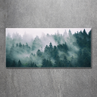 Glasbild Nebel über dem Wald