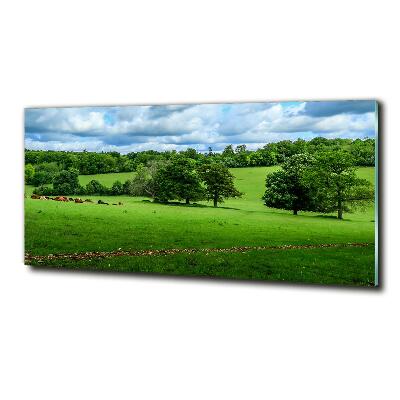 Bild auf glas Grüne Hügel