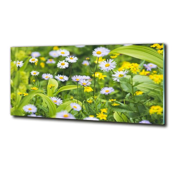 Glasbild Gänseblümchen