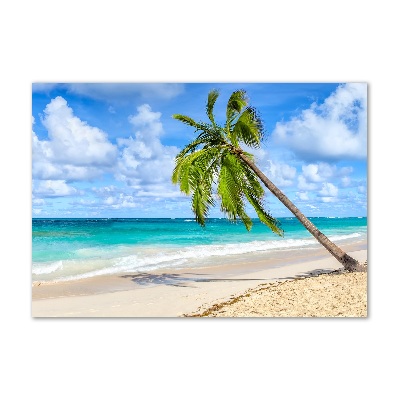 Glasbild Tropischer Strand