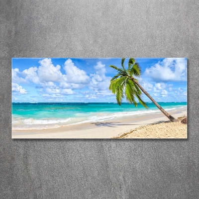 Glasbild Tropischer Strand