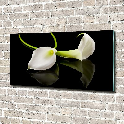 Bild auf glas Calla