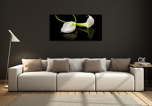 Bild auf glas Calla