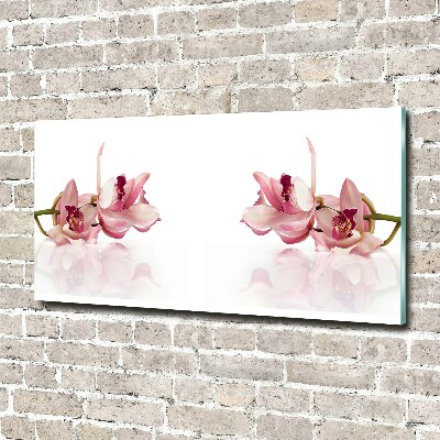 Glasbild Orchidee