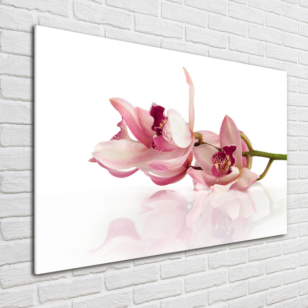 Glasbild Orchidee