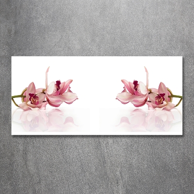 Glasbild Orchidee