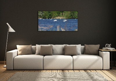 Glasbild Weiße Schwäne