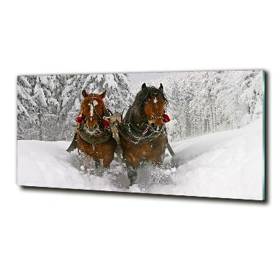 Foto glasbild Schlittenfahrt