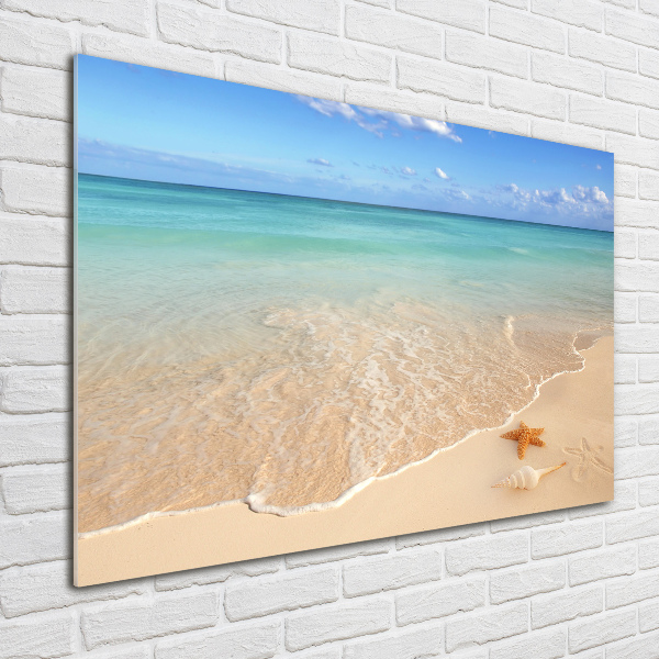 Foto glasbild Seesterne am Strand