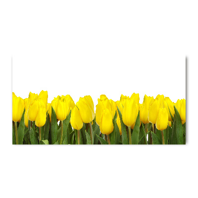 Bild auf glas Gelbe Tulpen