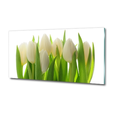 Foto glasbild Tulpen