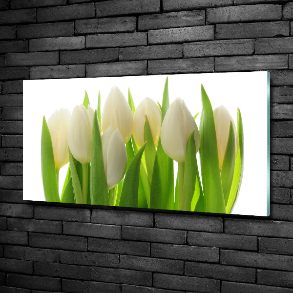 Foto glasbild Tulpen