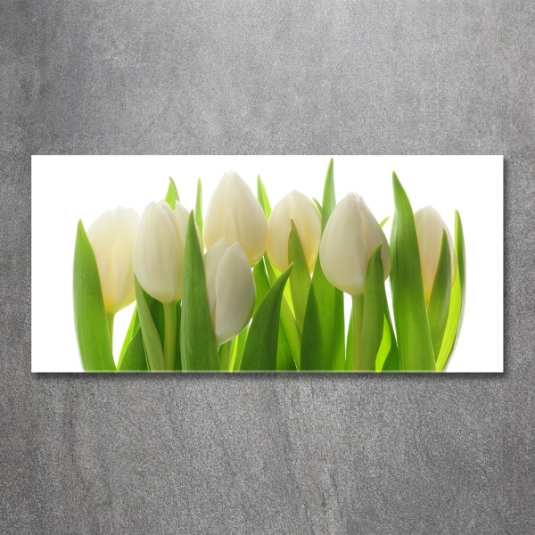 Foto glasbild Tulpen