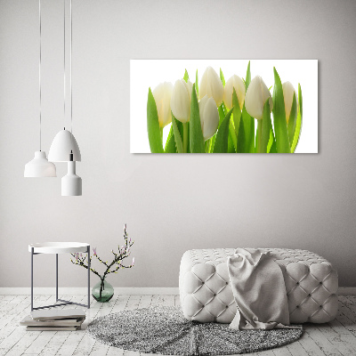 Foto glasbild Tulpen