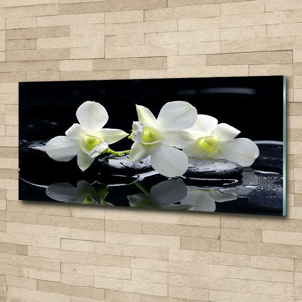 Glasbild Orchidee