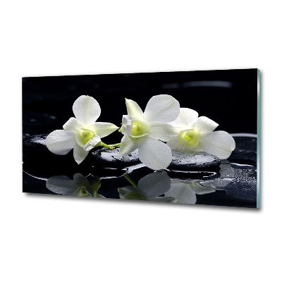 Glasbild Orchidee