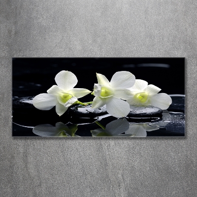 Glasbild Orchidee