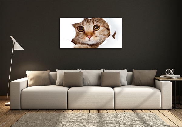 Bild auf glas Katze