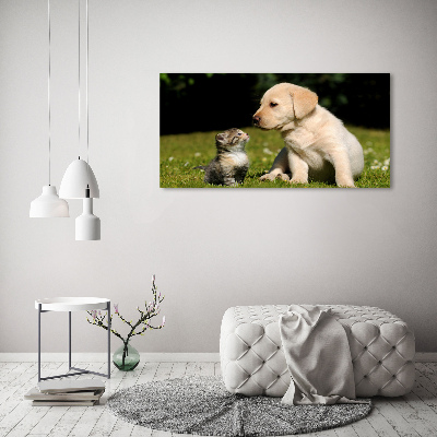 Foto glasbild Hund und Katze auf der Wiese