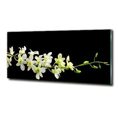 Foto glasbild Orchidee