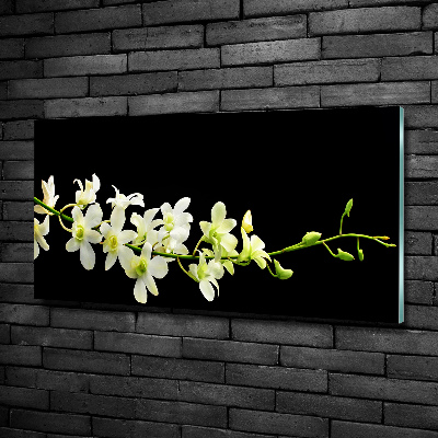 Foto glasbild Orchidee