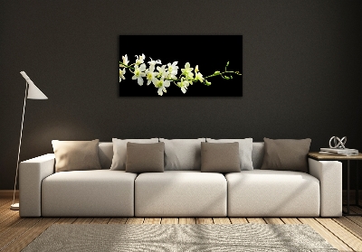 Foto glasbild Orchidee