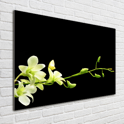 Foto glasbild Orchidee