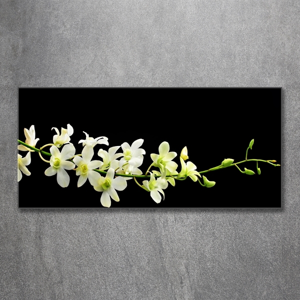 Foto glasbild Orchidee