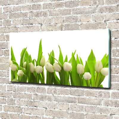 Bild auf glas Weiße Tulpen