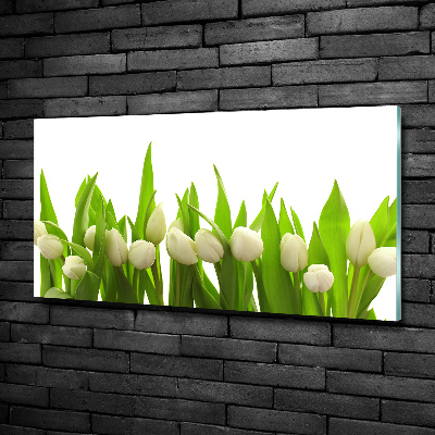 Bild auf glas Weiße Tulpen