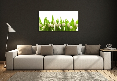 Bild auf glas Weiße Tulpen