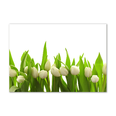 Bild auf glas Weiße Tulpen