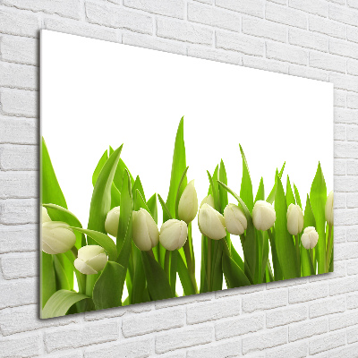 Bild auf glas Weiße Tulpen