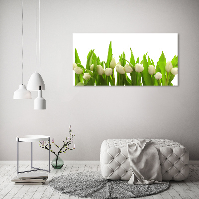Bild auf glas Weiße Tulpen