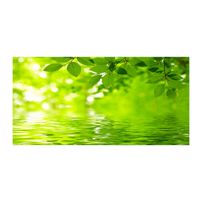 Foto glasbild Grüne Blätter