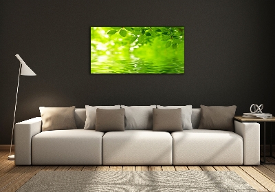 Foto glasbild Grüne Blätter